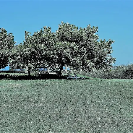 公寓 Sea Breeze Korakokhórion