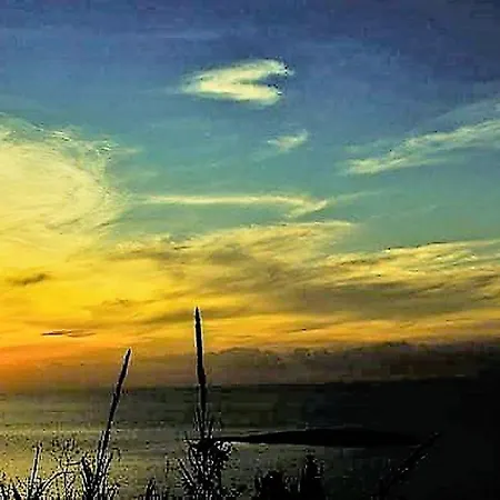 Sea Breeze *