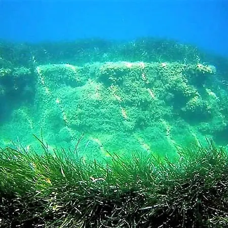 公寓 Sea Breeze Korakokhórion