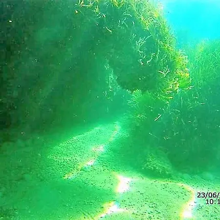 Sea Breeze * Korakokhórion