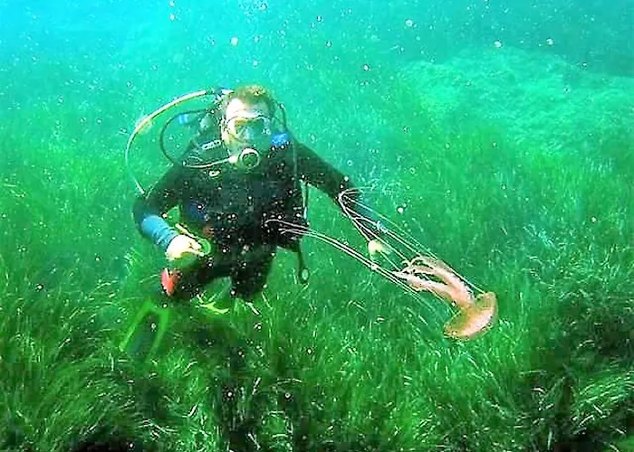 Sea Breeze Apartamento *